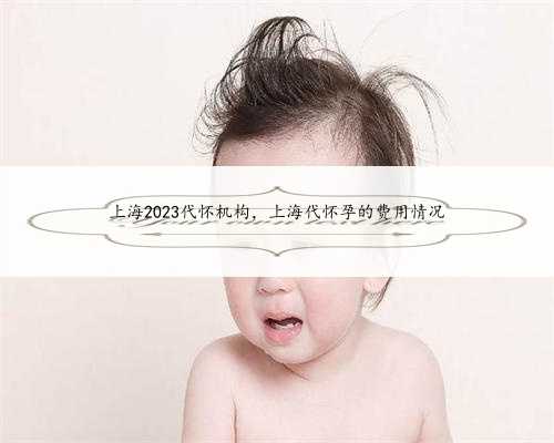 上海2023代怀机构，上海代怀孕的费用情况